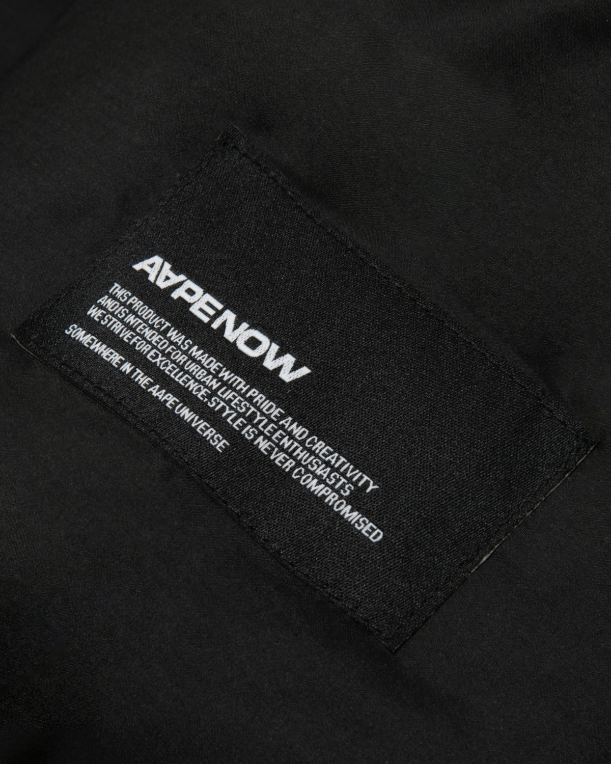 AAPENOW down jacket