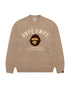 AAPEUNVS Graphic Knit Sweater